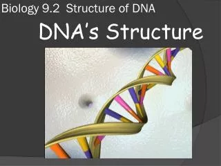 Biology 9.2 Structure of DNA
