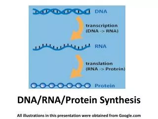 DNA/RNA/Protein Synthesis
