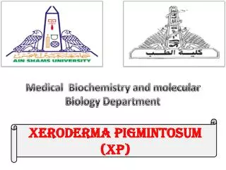 Xeroderma Pigmintosum (XP)