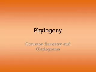 Phylogeny