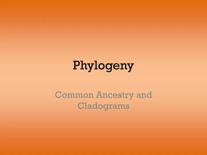 phylogeny