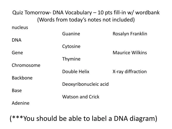 quiz tomorrow dna vocabulary 10 pts fill in w wordbank words from today s notes not included