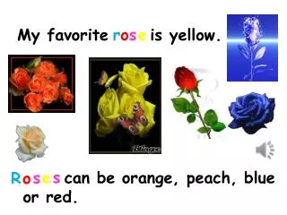 My favorite is yellow.
