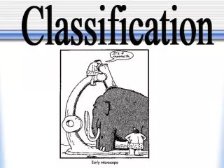 Classification