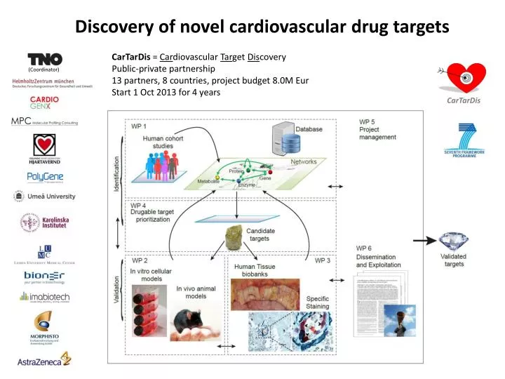 discovery of novel cardiovascular drug targets