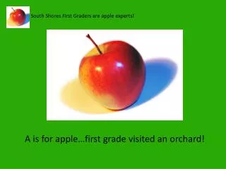 South Shores First Graders are apple experts!