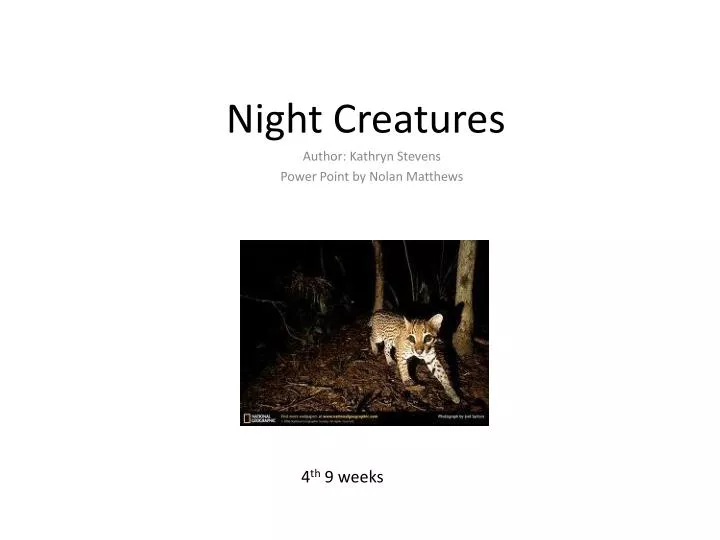 night creatures