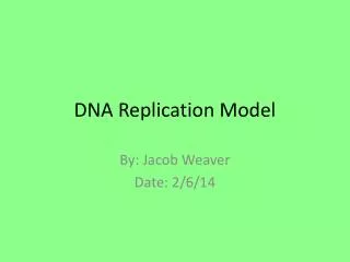 DNA Replication Model