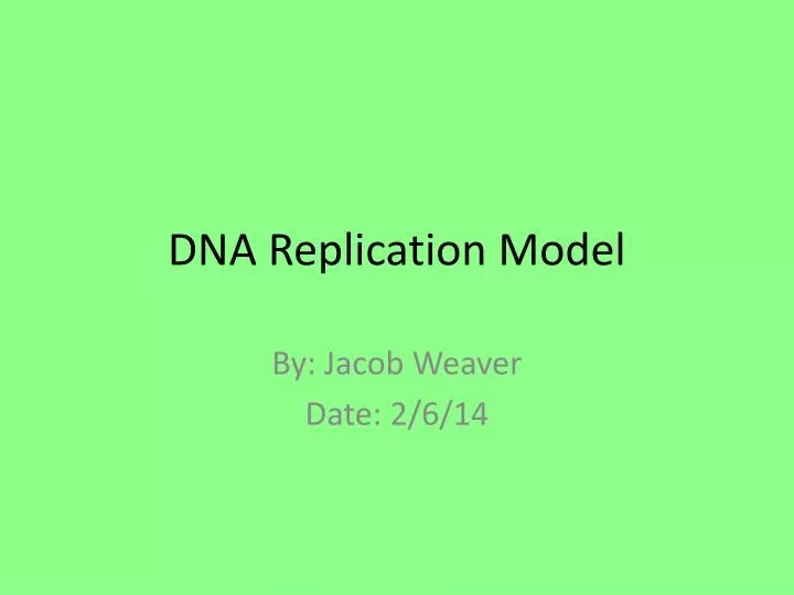 dna replication model