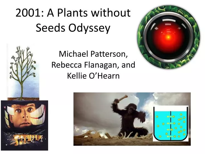 2001 a plants without seeds odyssey