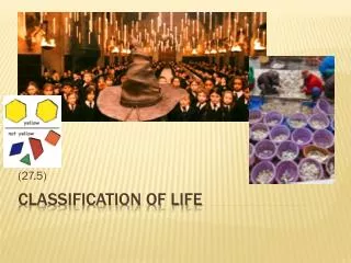 Classification of life