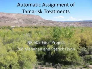 Automatic Assignment of Tamarisk Treatments