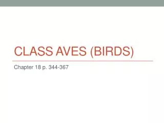 Class Aves (birds)