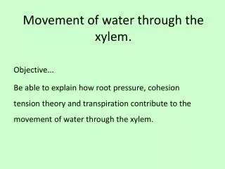 Movement of water through the xylem.