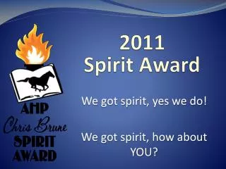 2011 Spirit Award