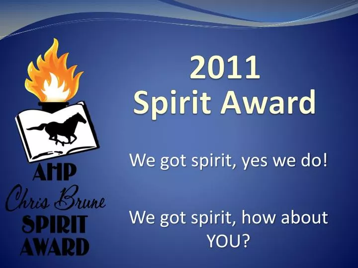 2011 spirit award