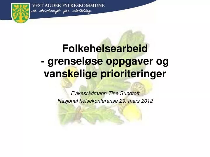 fylkesr dmann tine sundtoft nasjonal helsekonferanse 29 mars 2012