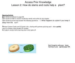Access Prior Knowledge Lesson 2: How do stems and roots help a ?plant?