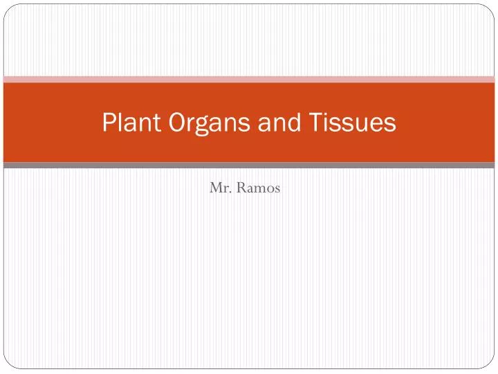 plant organs and tissues