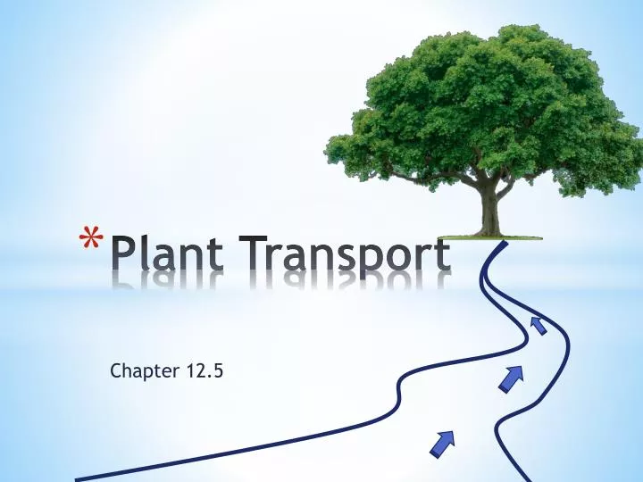 plant transport