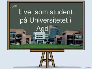 tine borg