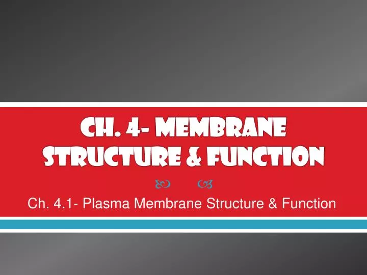 ch 4 membrane structure function