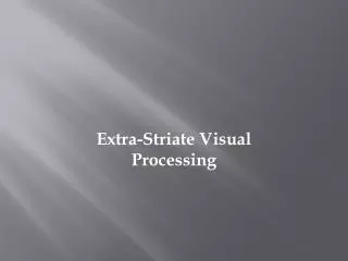 Extra-Striate Visual Processing