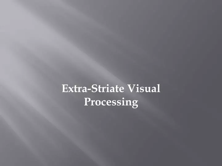 extra striate visual processing
