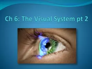 Ch 6: The Visual System pt 2