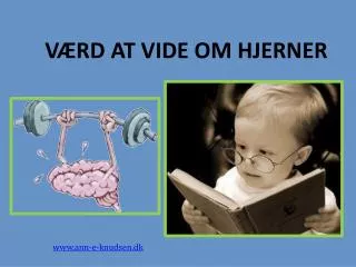 v rd at vide om hjerner