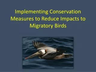 Implementing Conservation Measures to Reduce Impacts to Migratory Birds