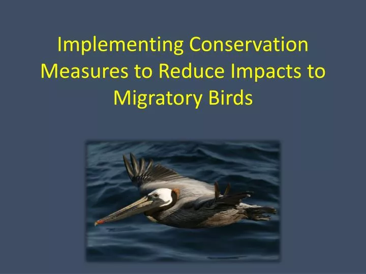 implementing conservation measures to reduce impacts to migratory birds
