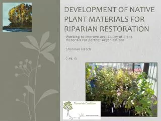 Development of Native Plant Materials for Riparian Restoration