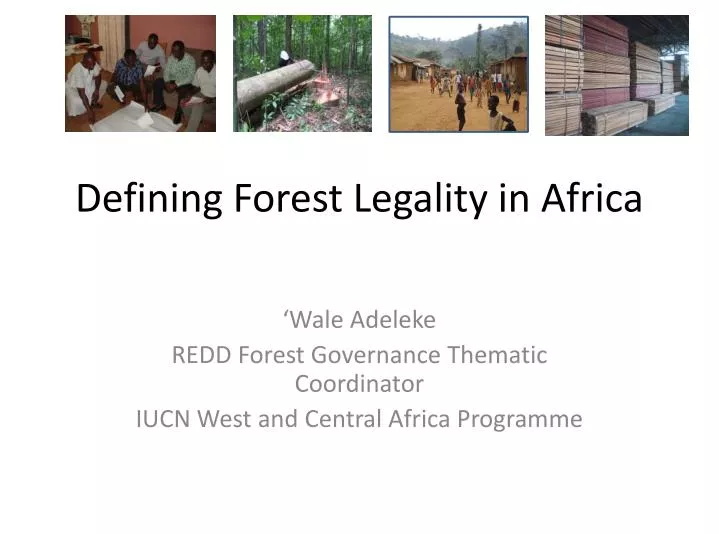 defining forest legality in africa