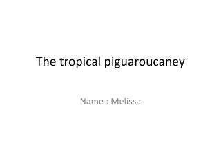 The tropical piguaroucaney