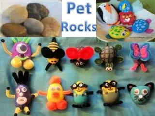 Pet Rocks