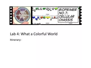 Lab 4: What a Colorful World Itinerary :
