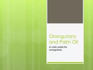 Orangutans and Palm Oil