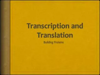 Transcription and Translation