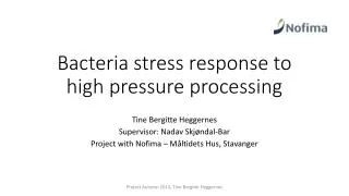 Bacteria stress response to high pressure processing