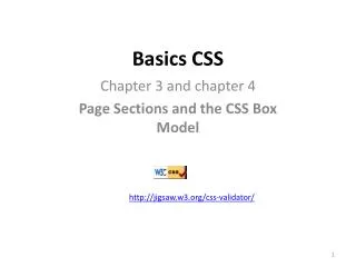 Basics CSS