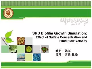 SRB Biofilm Growth Simulation: Effect of Sulfate Concentration and Fluid Flow Velocity