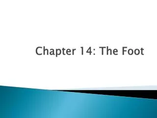 Chapter 14: The Foot