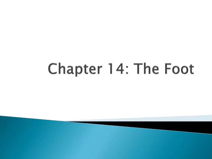 chapter 14 the foot