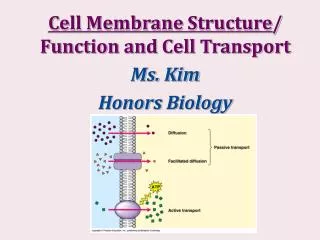 Cell Membrane Structure / Function and Cell Transport Ms. Kim Honors Biology