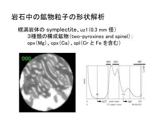 symplectite uz1 0 3 mm two pyroxines and spinel opx mg cpx ca spl cr fe