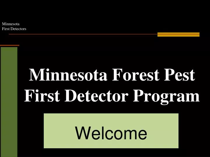 minnesota forest pest first detector program