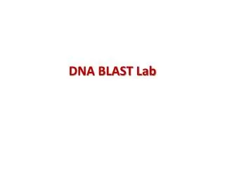 DNA BLAST Lab