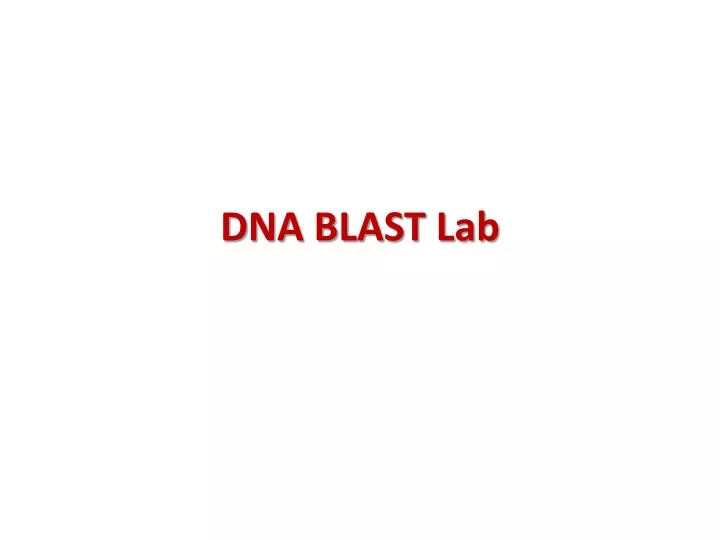 dna blast lab