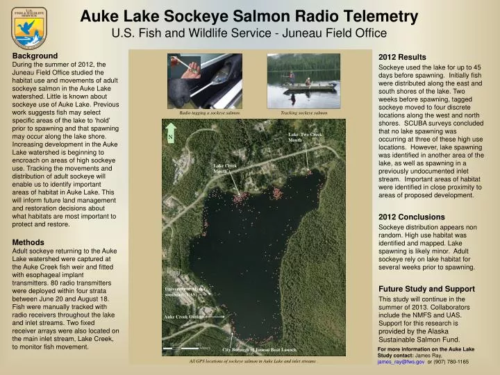 auke lake sockeye salmon radio telemetry u s fish and wildlife service juneau field office